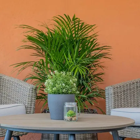 Aurum Health & Climatotherapy Center 4*