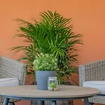 Aurum Health & Climatotherapy Center 4*